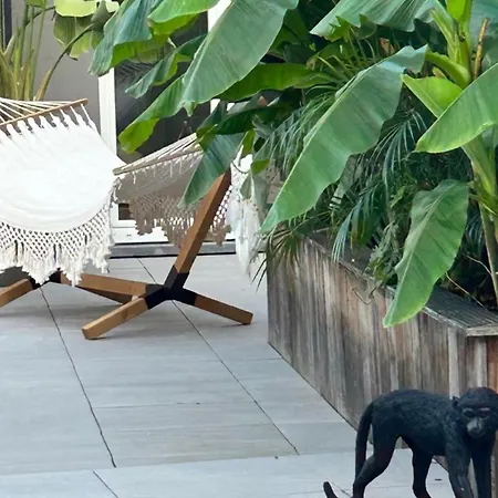 アパート Phoenix Garden モンス